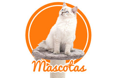 Mascotas