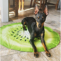 Colchoneta Refrescante Para Mascotas, Cama Fría Para Perros OMC-003