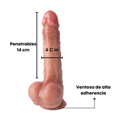 Arnés con Dildo Realista y Articulado 6,5" Wears Series  OMC-438