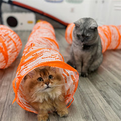 Tunel Plegable Para Gato 4 Entradas Juguete Mascotas OMC-457