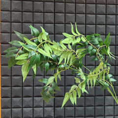 Ramas Artificiales De Hojas De Sauce  OMC-739