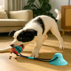 PELOTA CON VENTOSA PARA PERROS - OMC-316